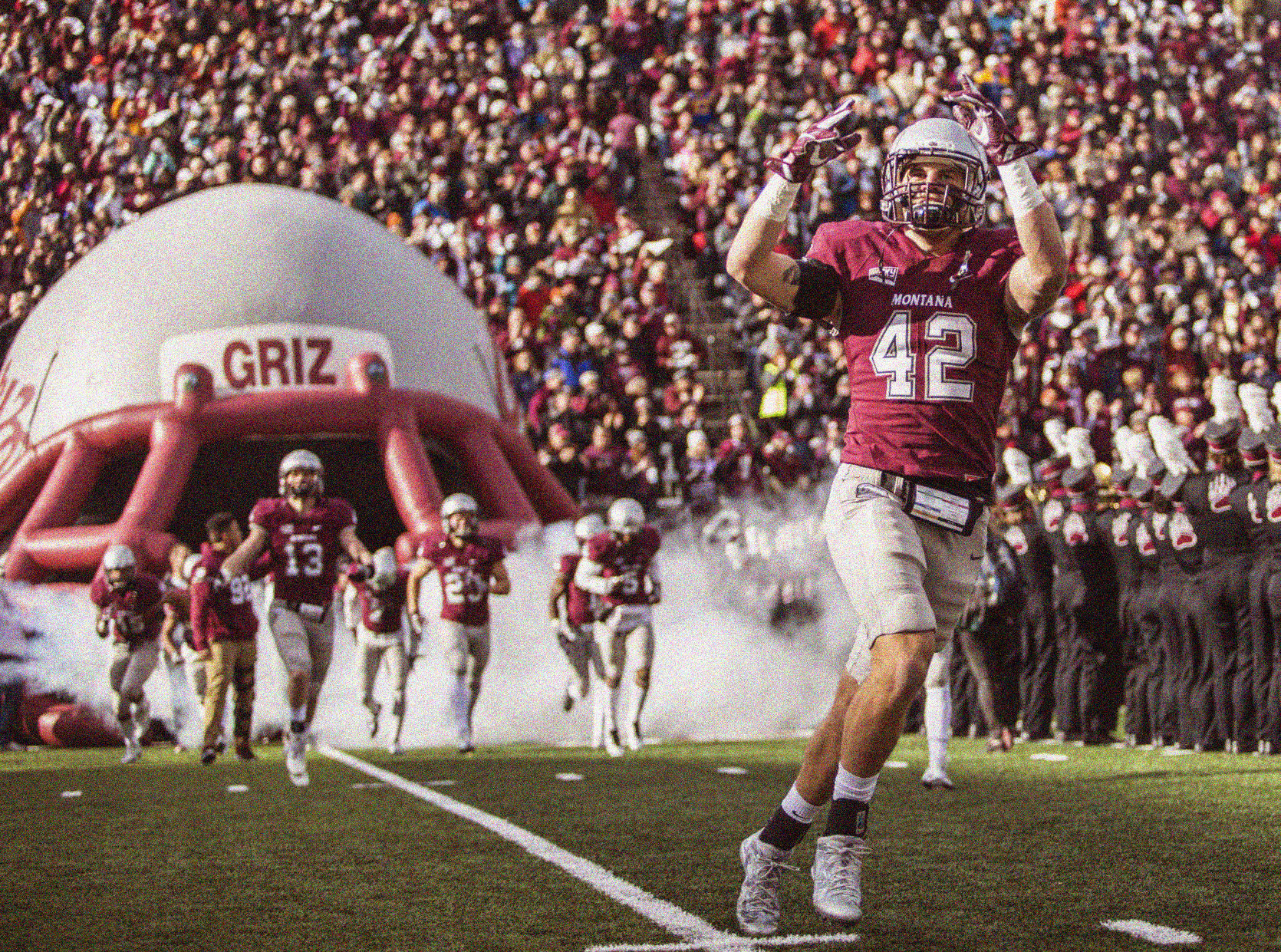 CatGriz12016.image2.jpg